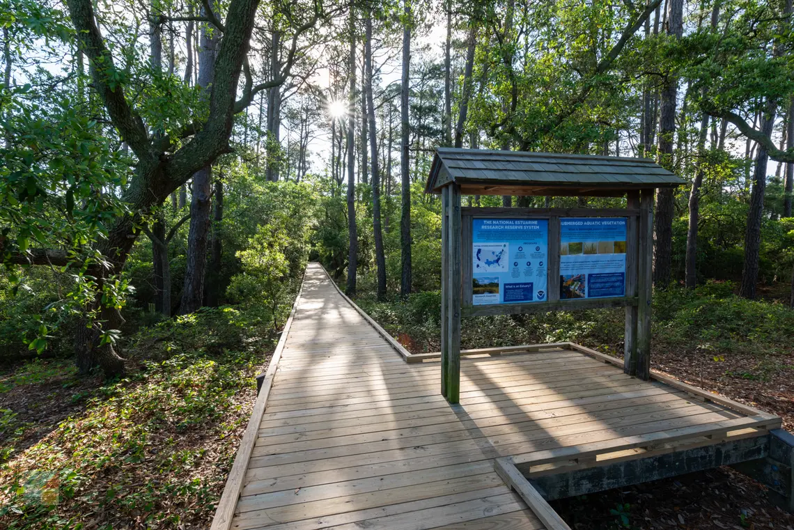 Currituck Banks Reserve