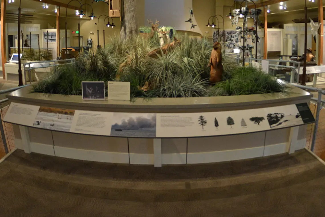 Rainy Day Activities in Carova